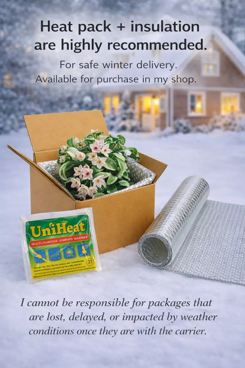 Winter Shipping Insulation and Heat Pack Add On thumbnail