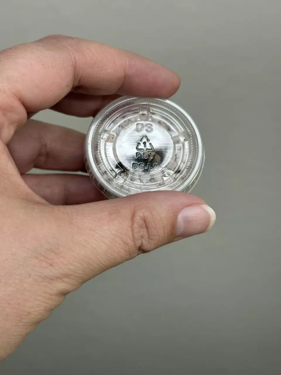 *CORM* Alocasia Venom thumbnail