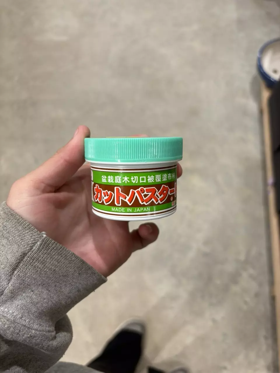 CUT PASTE - GREEN LID thumbnail