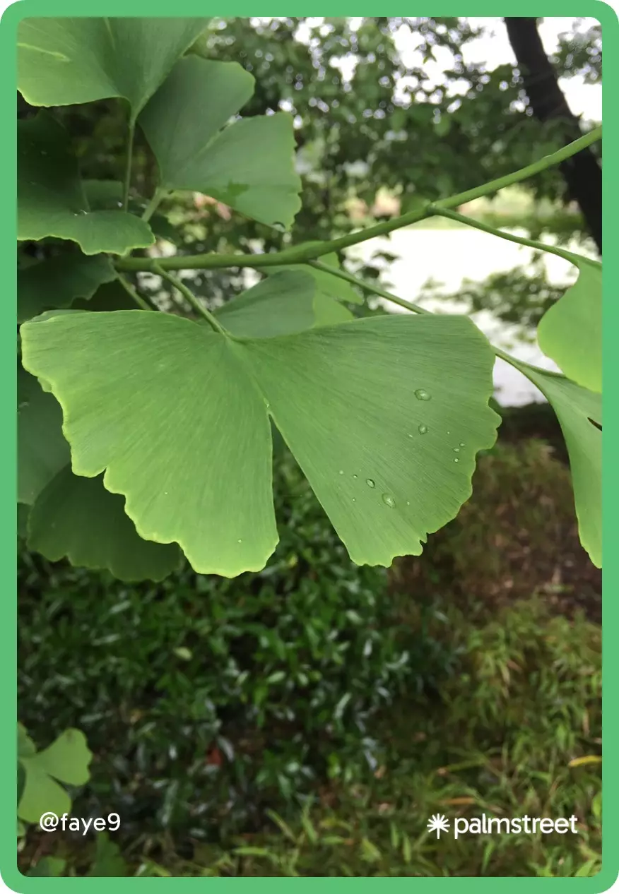 Test private thumbnail