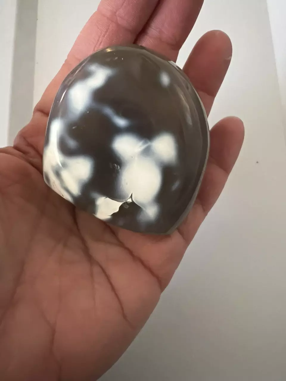 Orca agate Freeform thumbnail