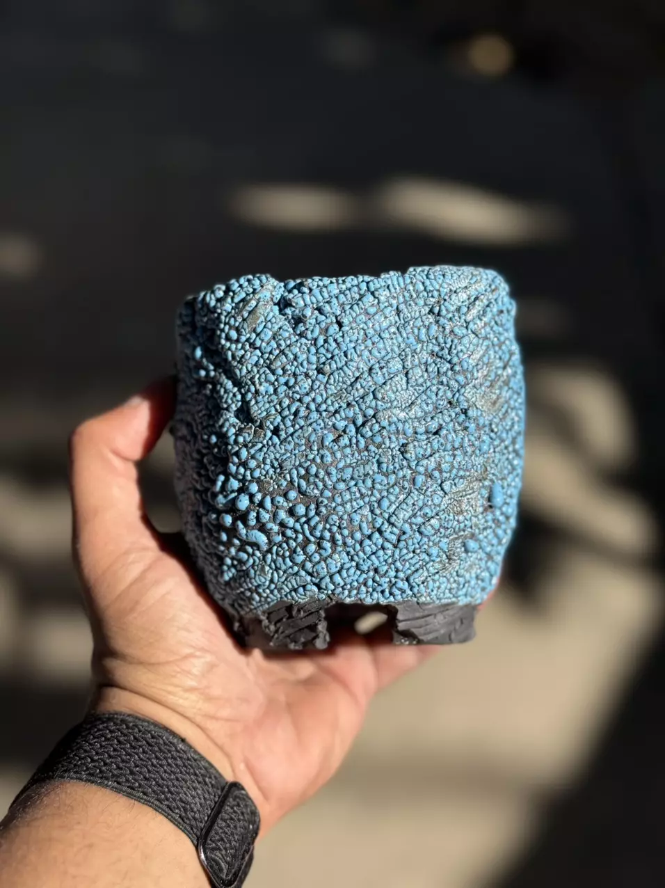 Smooth blue footed 4.25x4.25 thumbnail