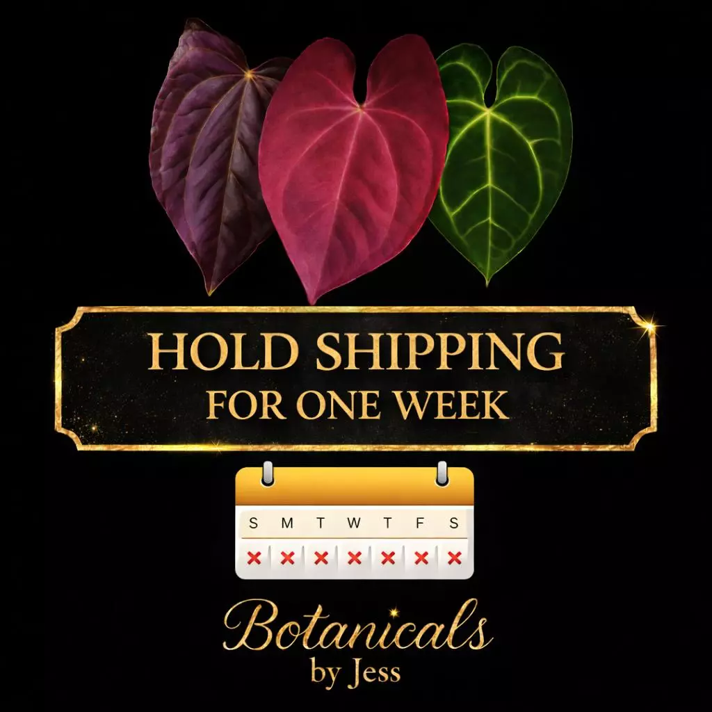 HOLD ME IM NEEDY!! thumbnail