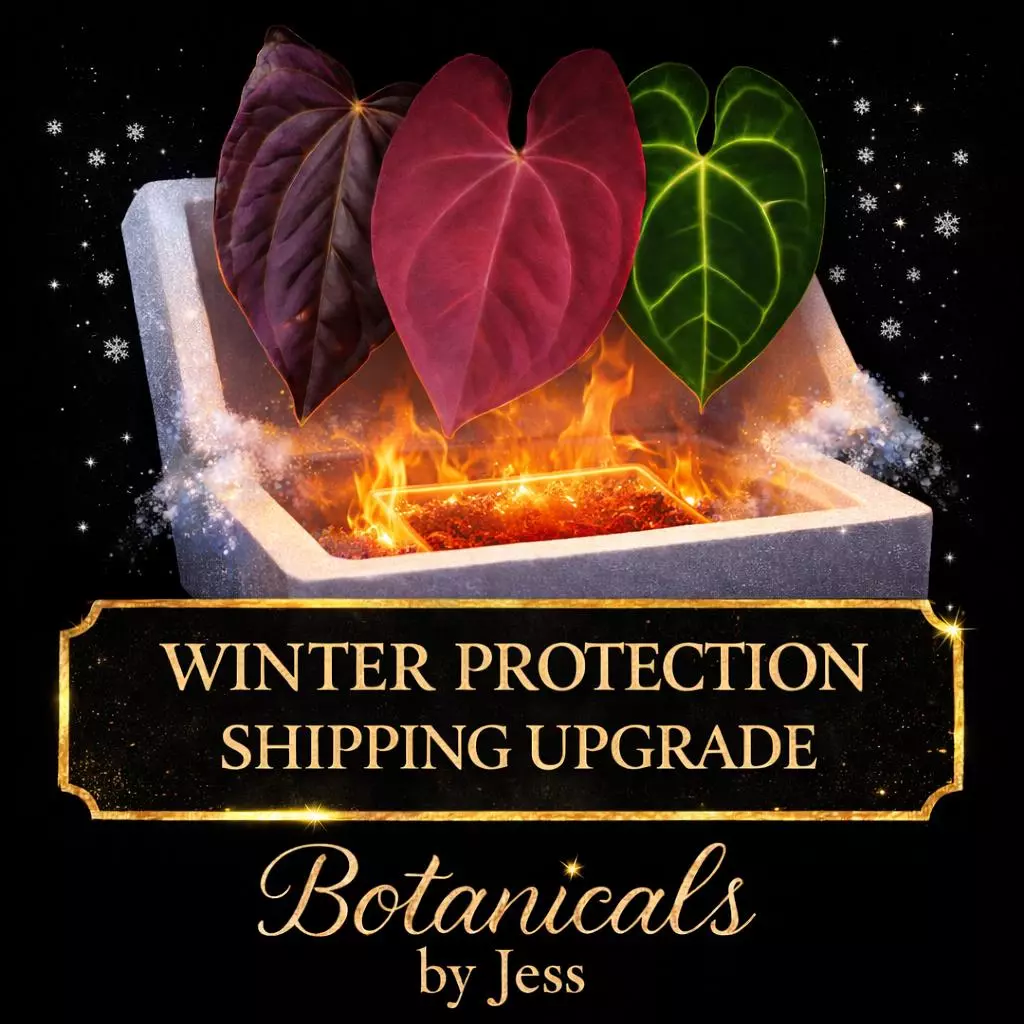 Total Winter Protection thumbnail