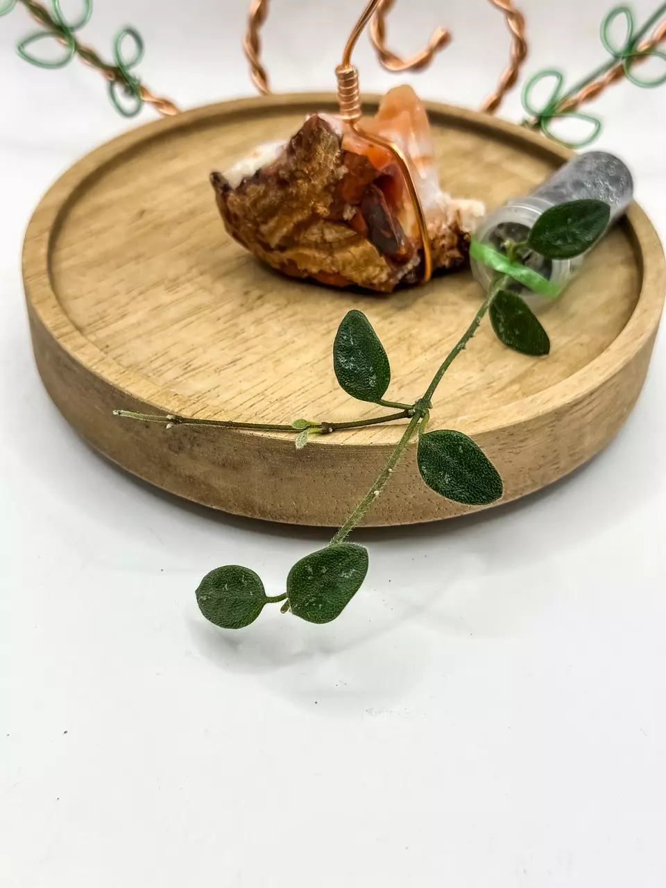 35. aff Tengchongensis (rooted) thumbnail