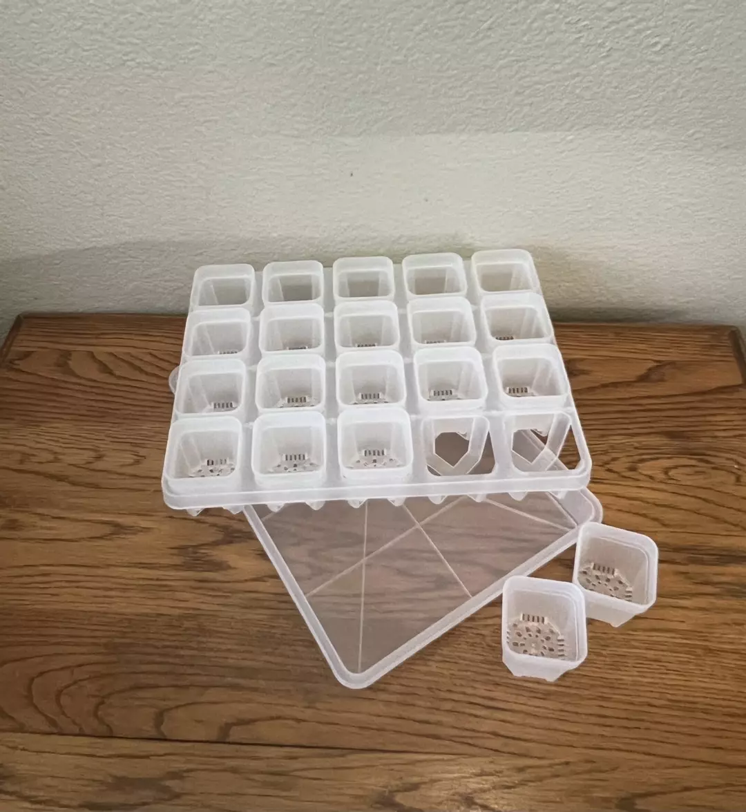 Reserved for @AMPlified 3 domes for the above tray thumbnail