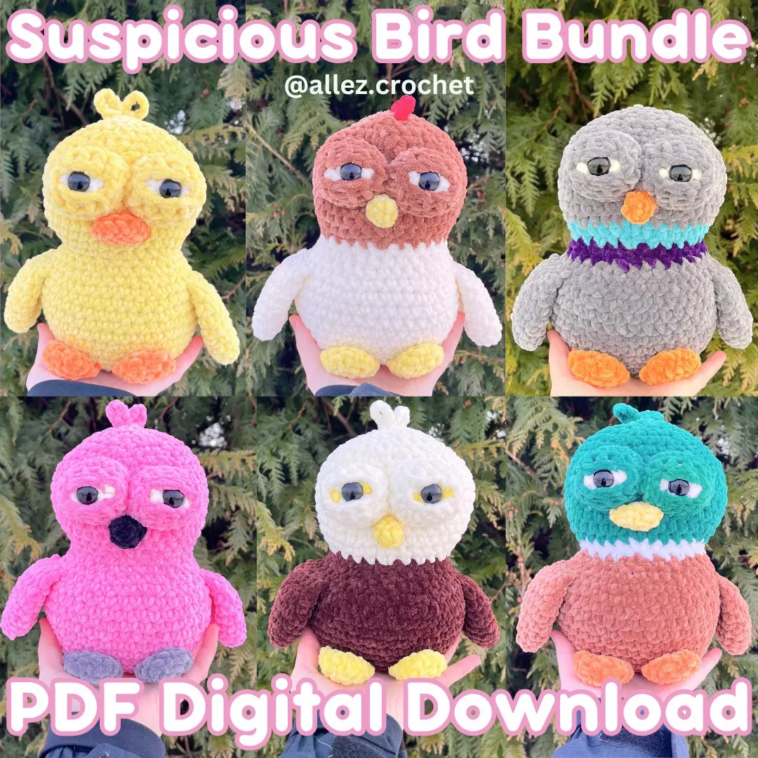 👀🐥PDF Crochet Pattern: Suspicious Bird Bundle (NOT A PHYSICAL PRODUCT!) thumbnail