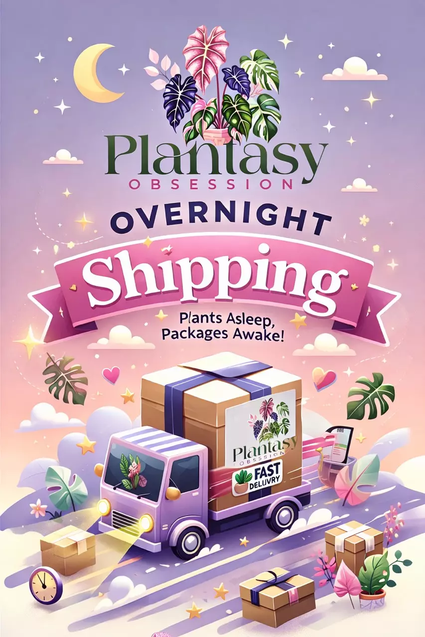 Get it faster!! Always recommend thumbnail