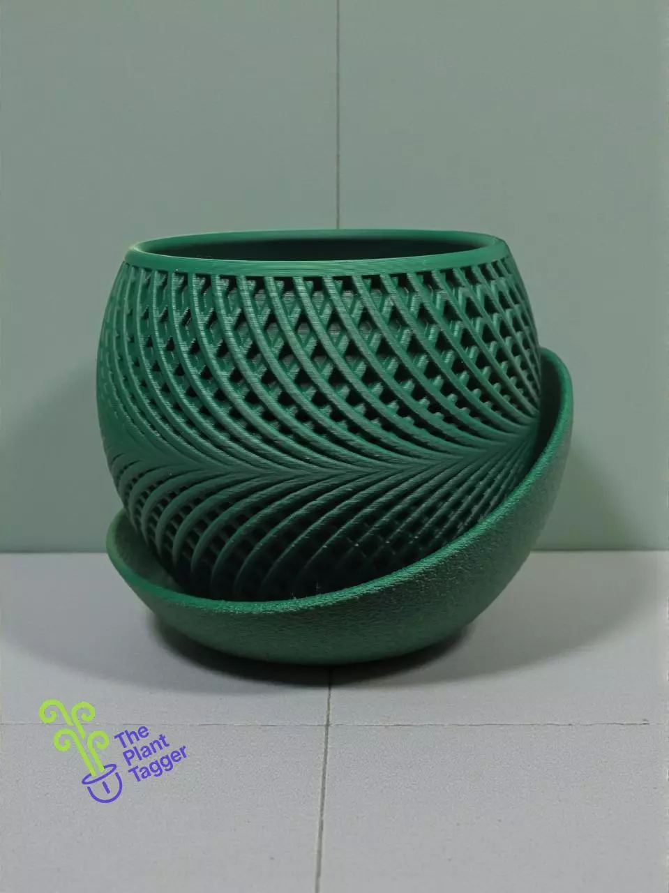 Tight Belt Forest Green thumbnail