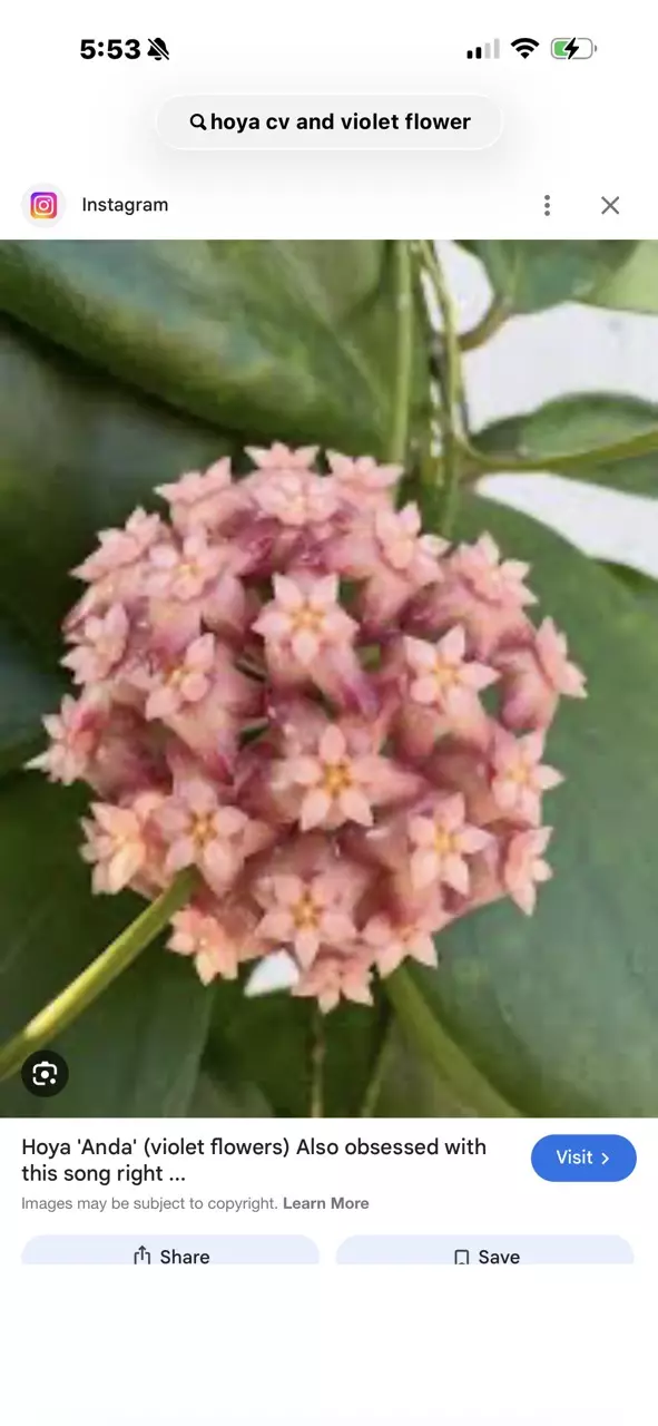 Hold my box a week untill 2/24 ship date thumbnail