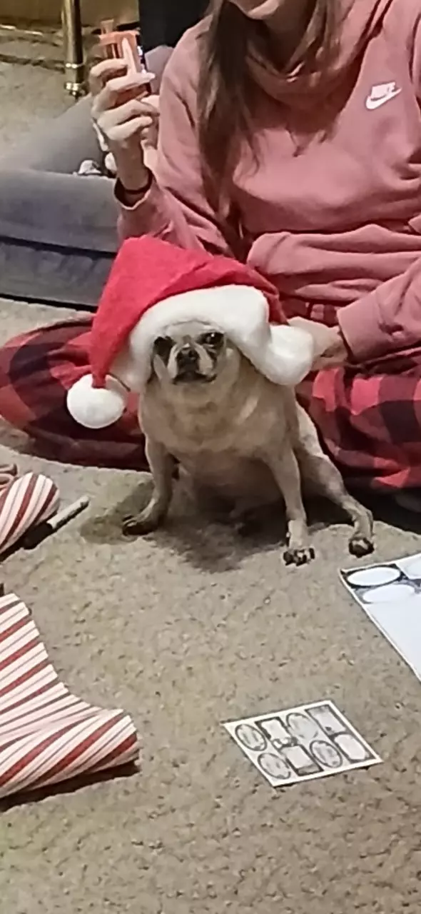 Insulation 💙 thumbnail