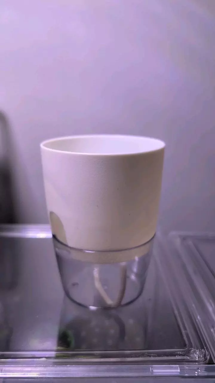 3 in self watering pot thumbnail