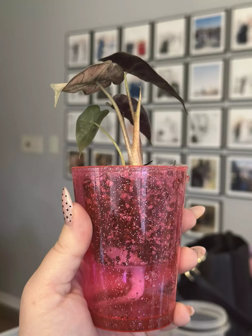 For Mahikilla thumbnail