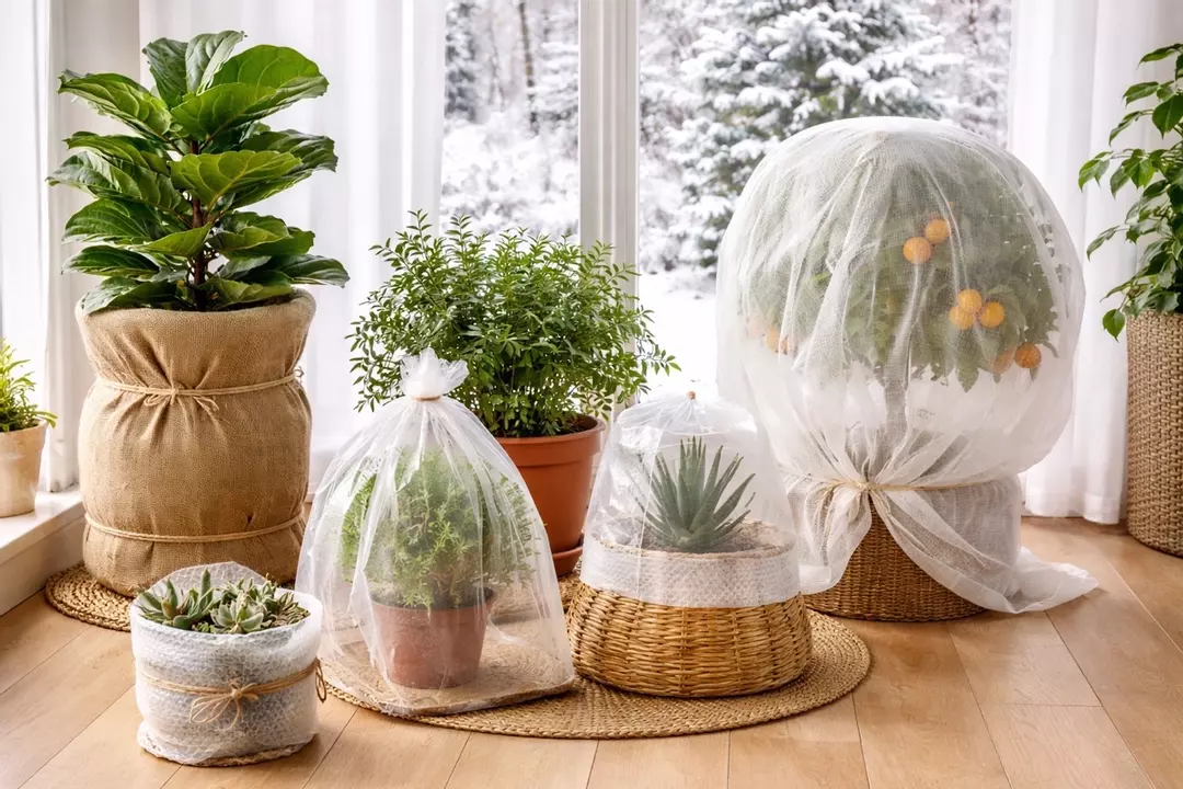 Insulation thumbnail