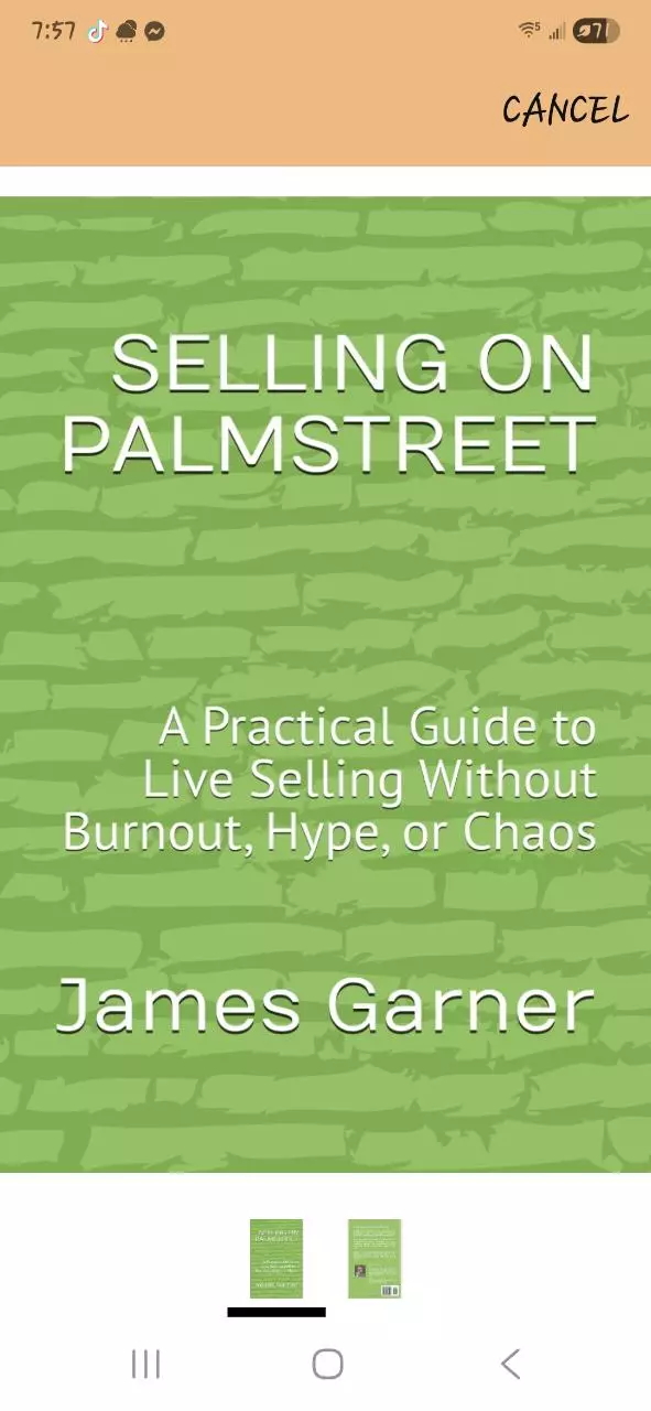 SELLING ON PALMSTREET: A PRACTICLE GUID TO LIVE SELLING WITHOUT BURNOUTOR HYPE thumbnail