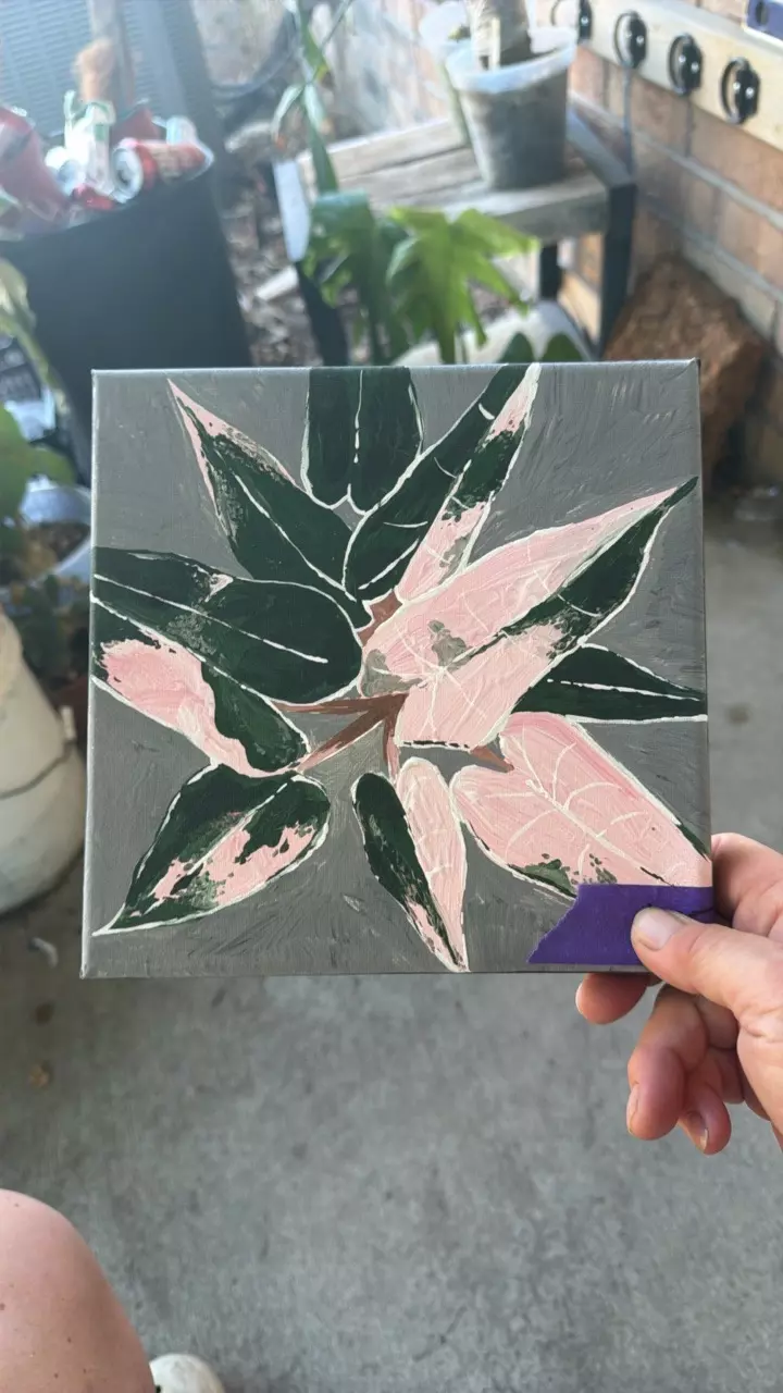 #5 Original Artwork by Yohann Bassig - Alocasia Pink Bambino thumbnail