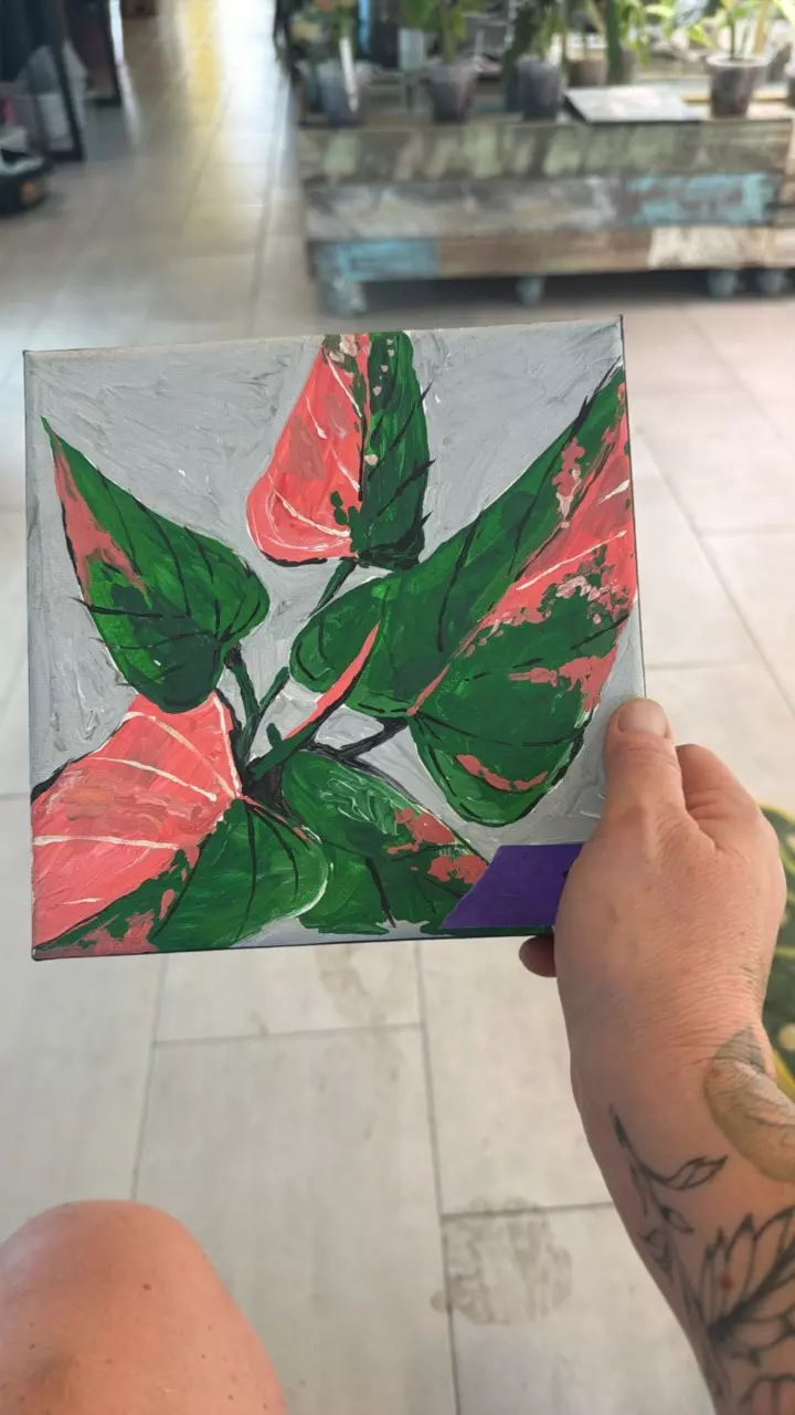 #8 Original Artwork by Yohann Bassig homalomena pink diamond thumbnail