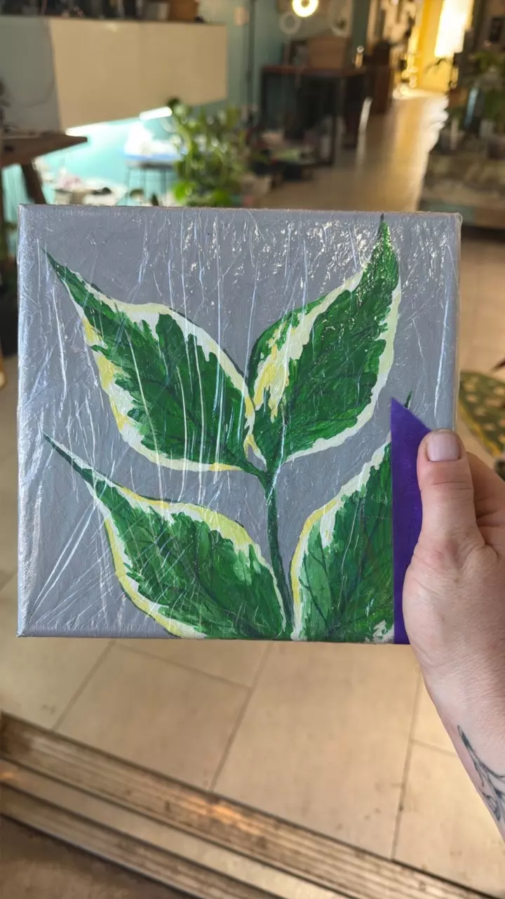 #6 Original Artwork by Yohann Bassig. Hoya polyneura outer variegated. thumbnail