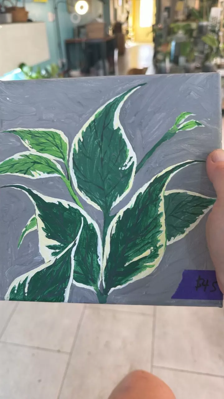 #7 Original Artwork by Yohann Bassig Hoya Polyneura thumbnail