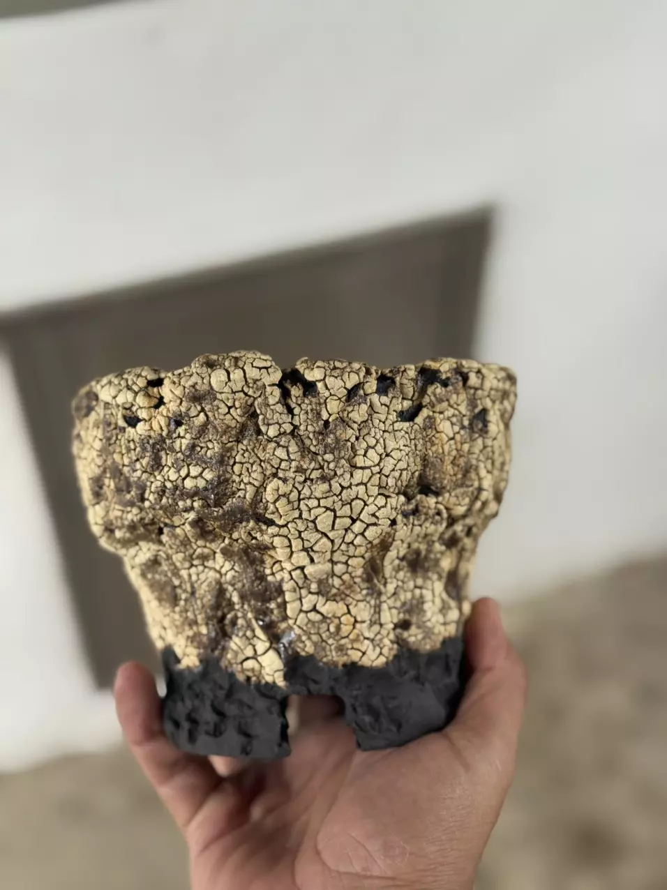 Golden footed 6x4.5H thumbnail