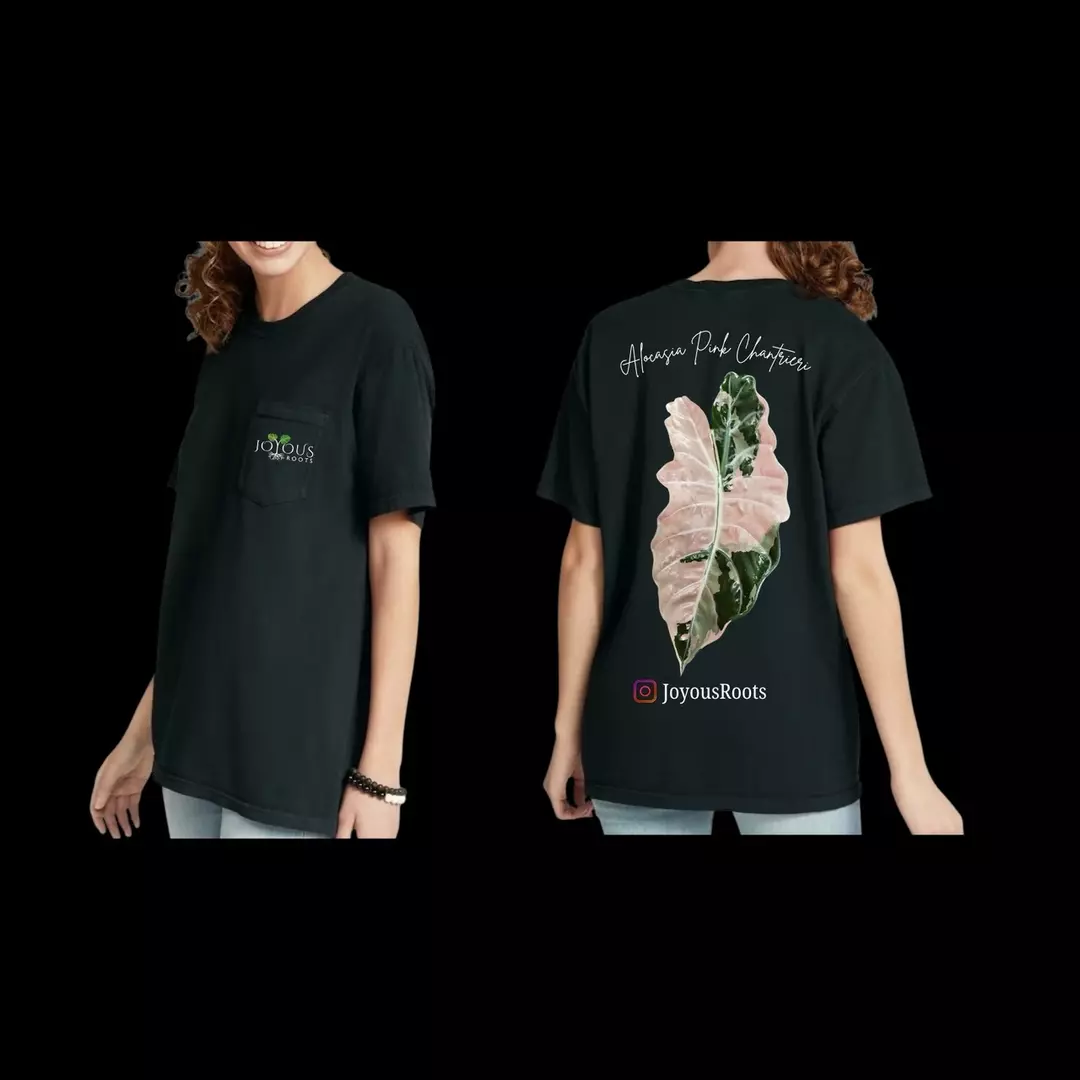 L - JR Chantrieri Pink thumbnail