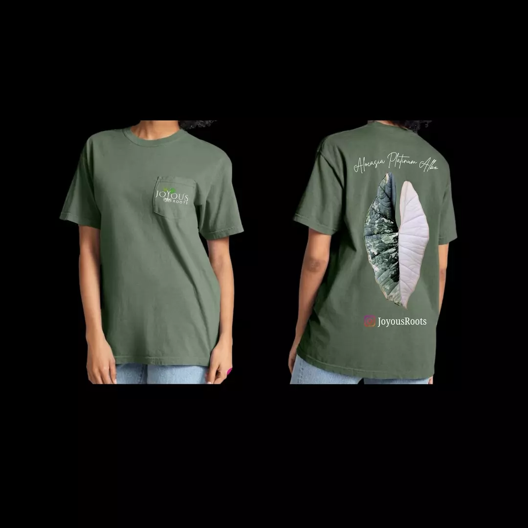 XL - JR Platinum Albo shirt thumbnail