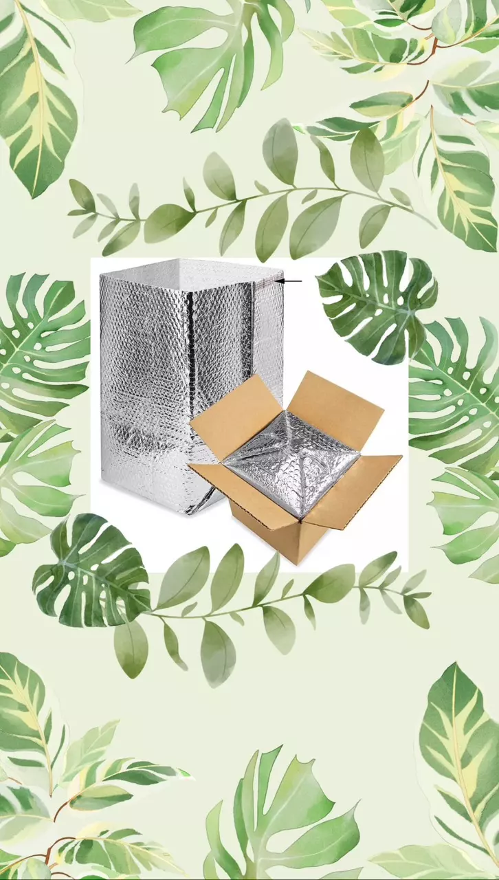 Extra Insulation Inside Package thumbnail