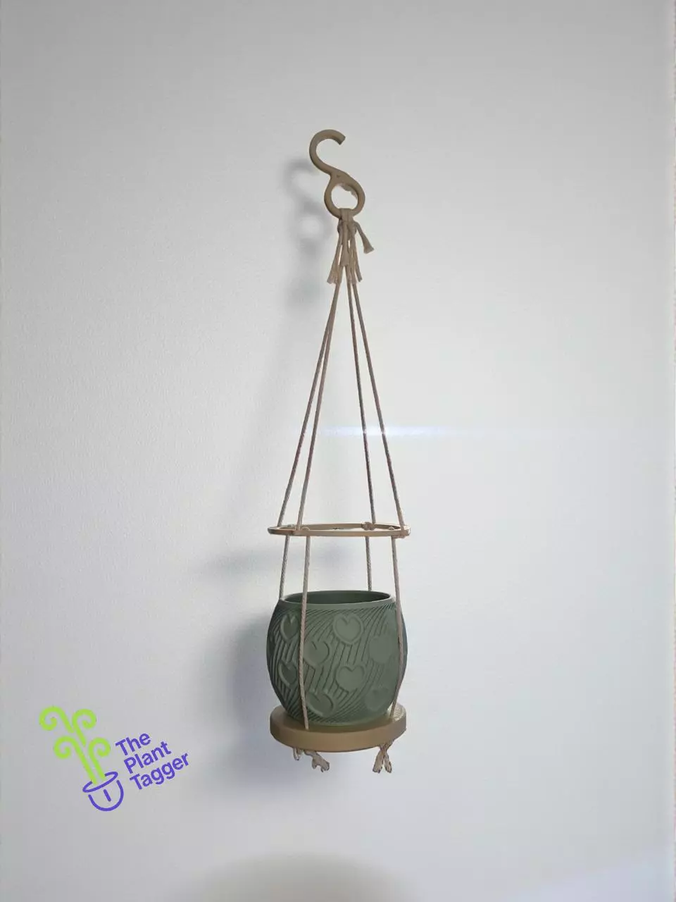 Anywhere Hanger My Forever Love thumbnail