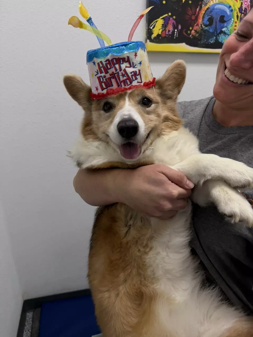 Live arrivals guarantee ship out Feb 10th/11 thumbnail