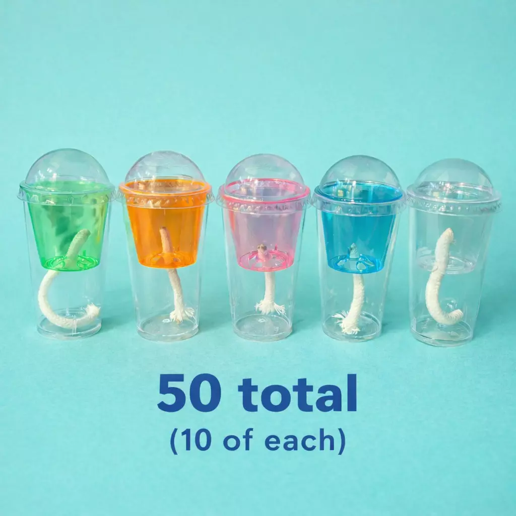 50 Self watering corm cups with lids thumbnail