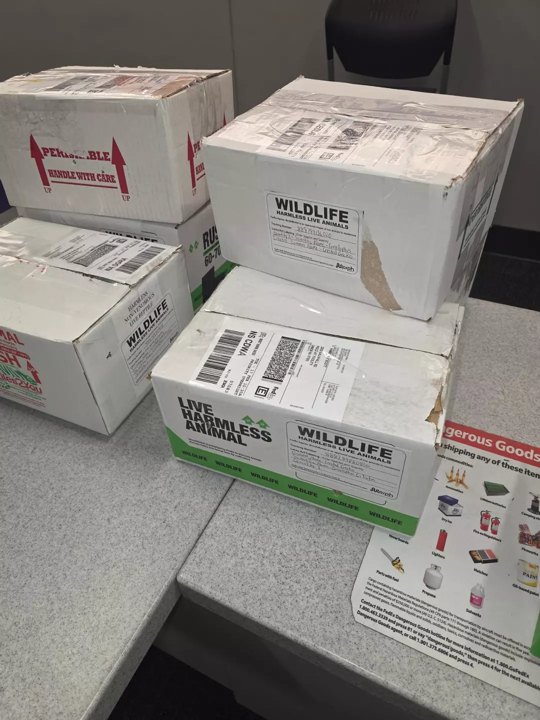 Animal Shipping thumbnail