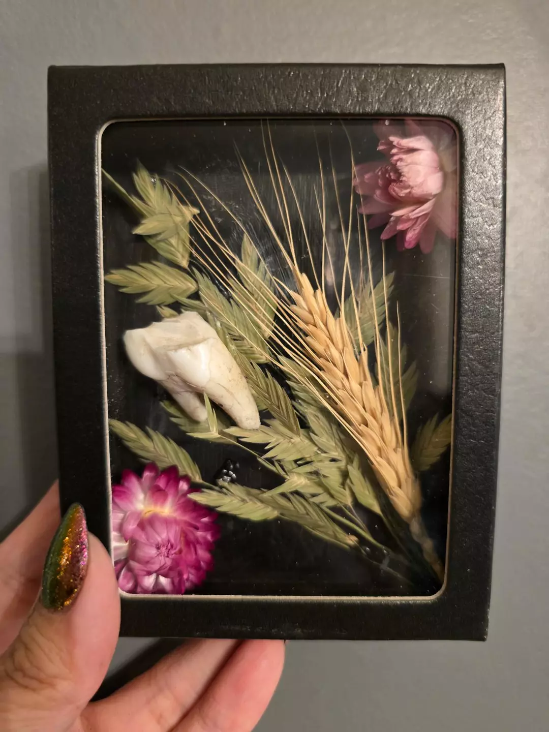 Cow Tooth with Botanicals thumbnail