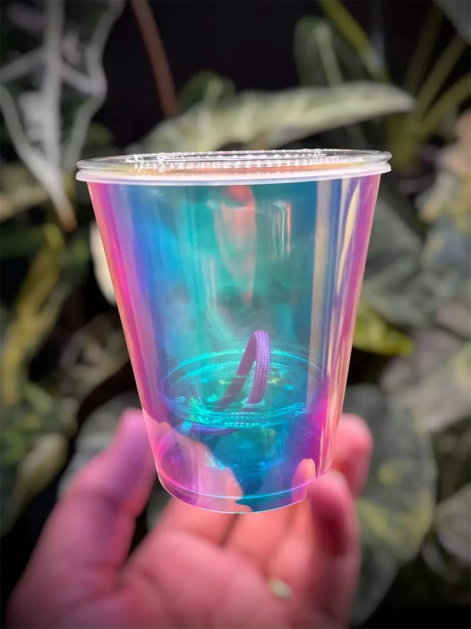 Unicorn Rainbow Iridescent Self-Watering Cups Pots thumbnail