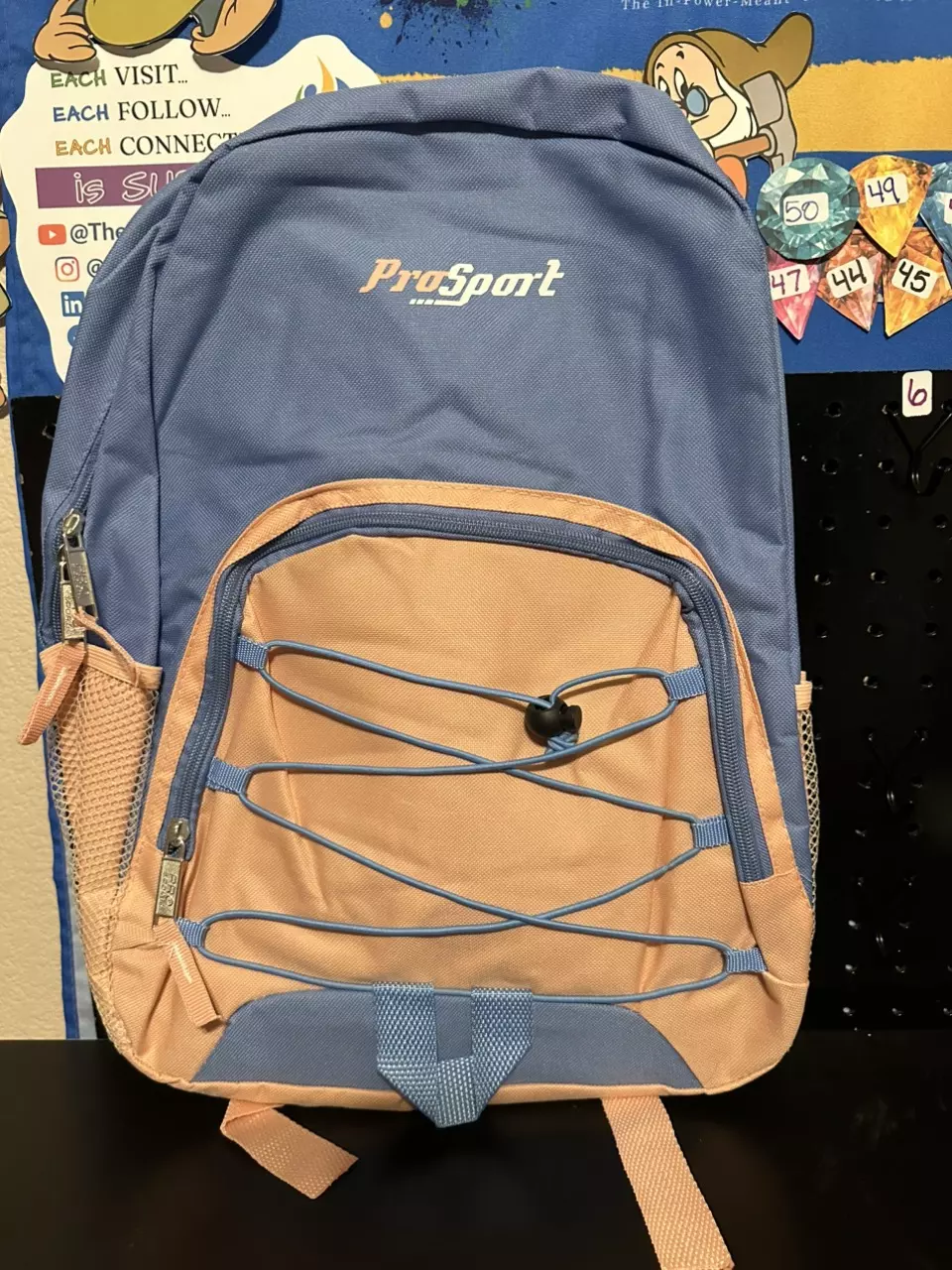 Pink and Blue Pro Sport Full Size Backpack thumbnail