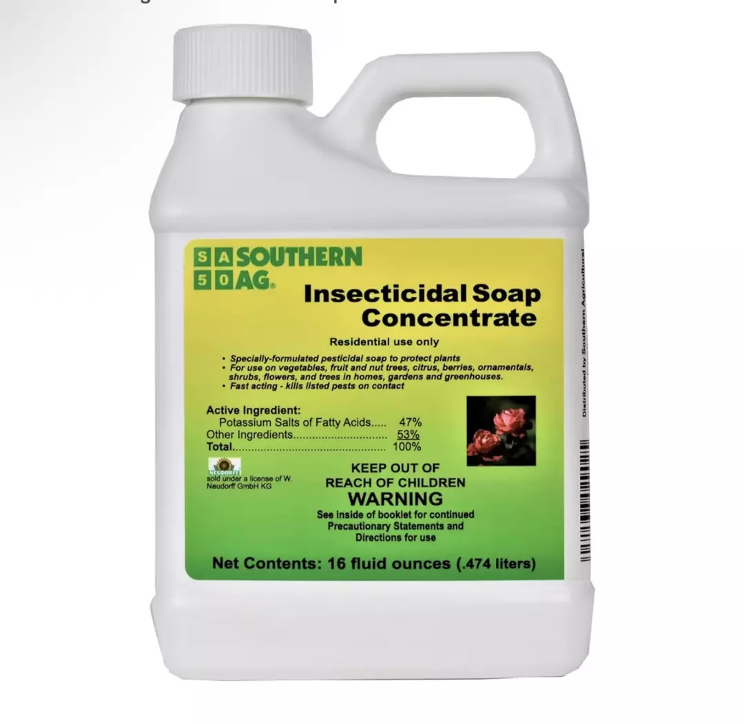 INSECTICIDE SOAP (1pt ) concentrated thumbnail