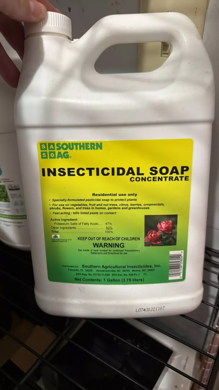 1 gallon insecticidal soap concentrate thumbnail