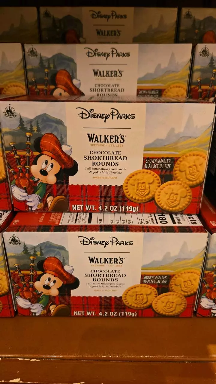 Short rounds with chocolate bottoms. 7 pk thumbnail