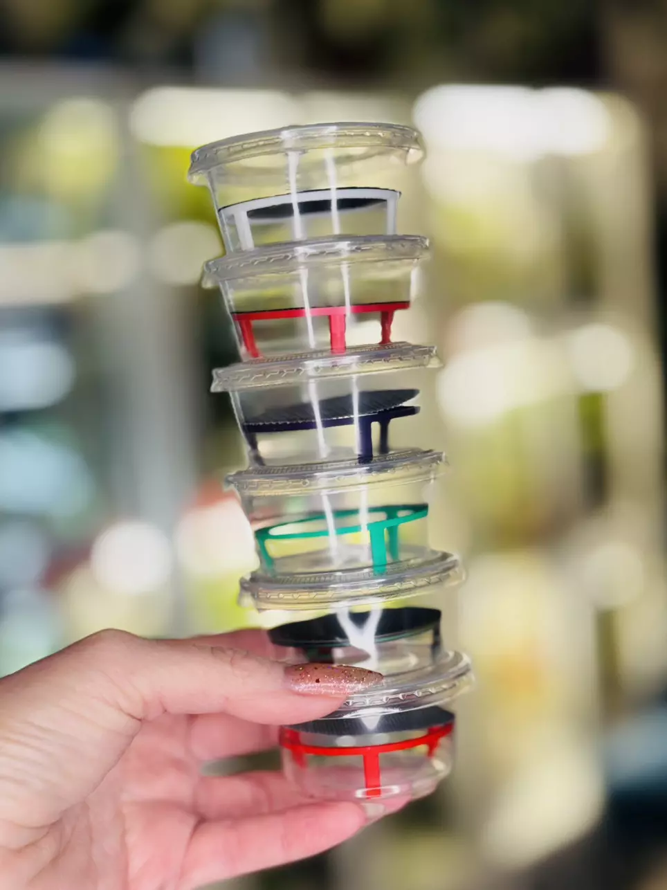 24 Alocasia Corm PUDDLE PADS™️ thumbnail