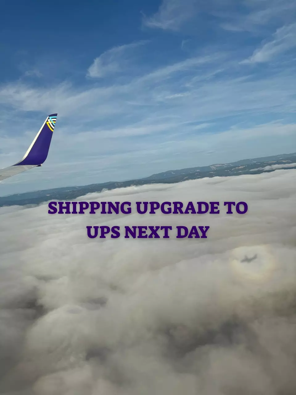 UPS Next Day Shipping Upgrade thumbnail