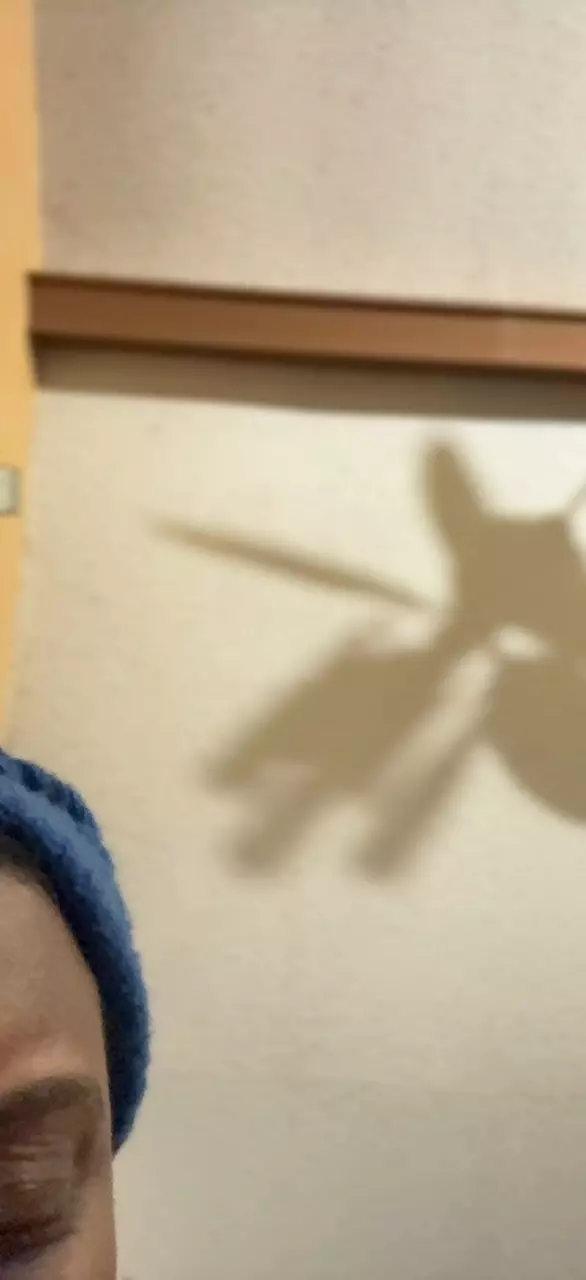 Junk label thumbnail