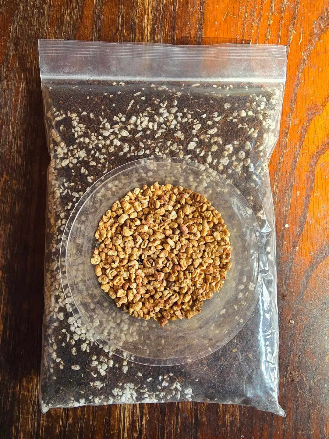 Green Shield w/ BTI - ½gal/4oz thumbnail