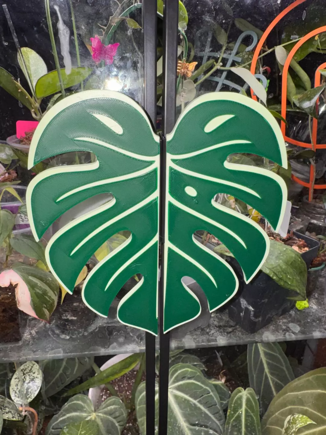 Monstera Leaf Rudsta Cabinet Handles thumbnail