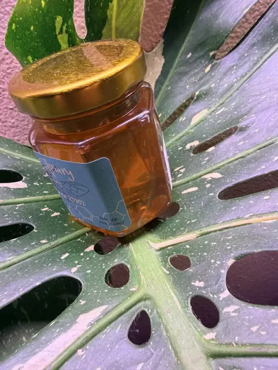 plant/4oz honey jars!-0-thumbnail
