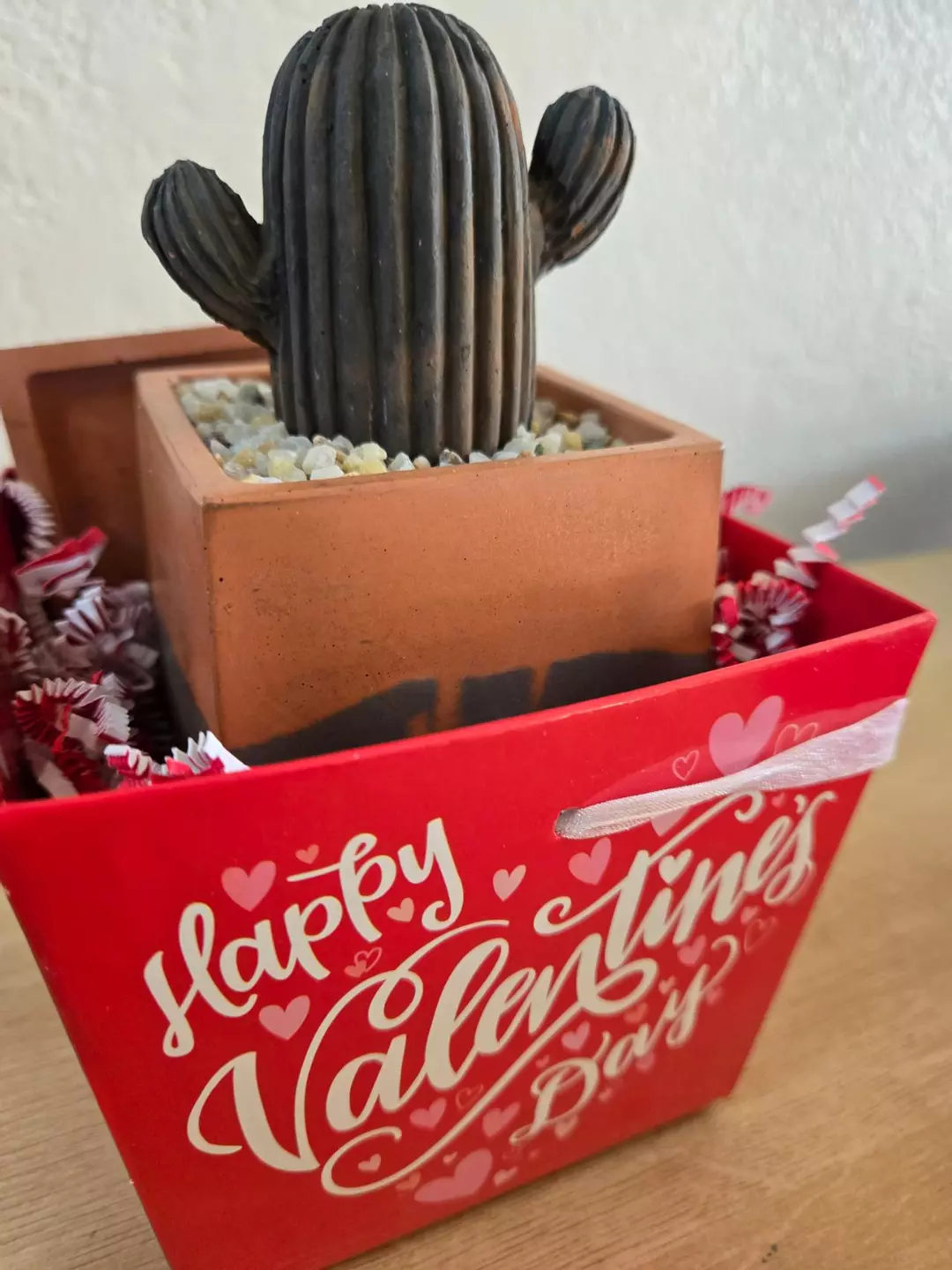 Concrete cactus in 3" planter. thumbnail