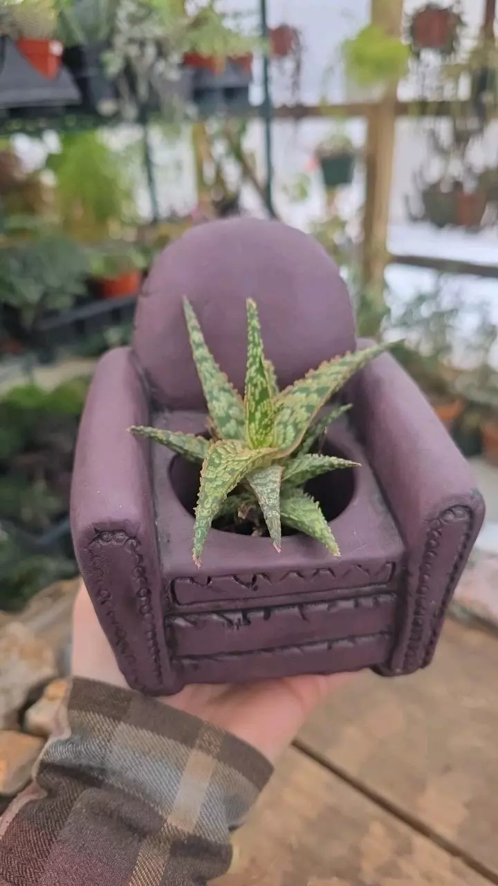 Purple Chair Cement Planter thumbnail