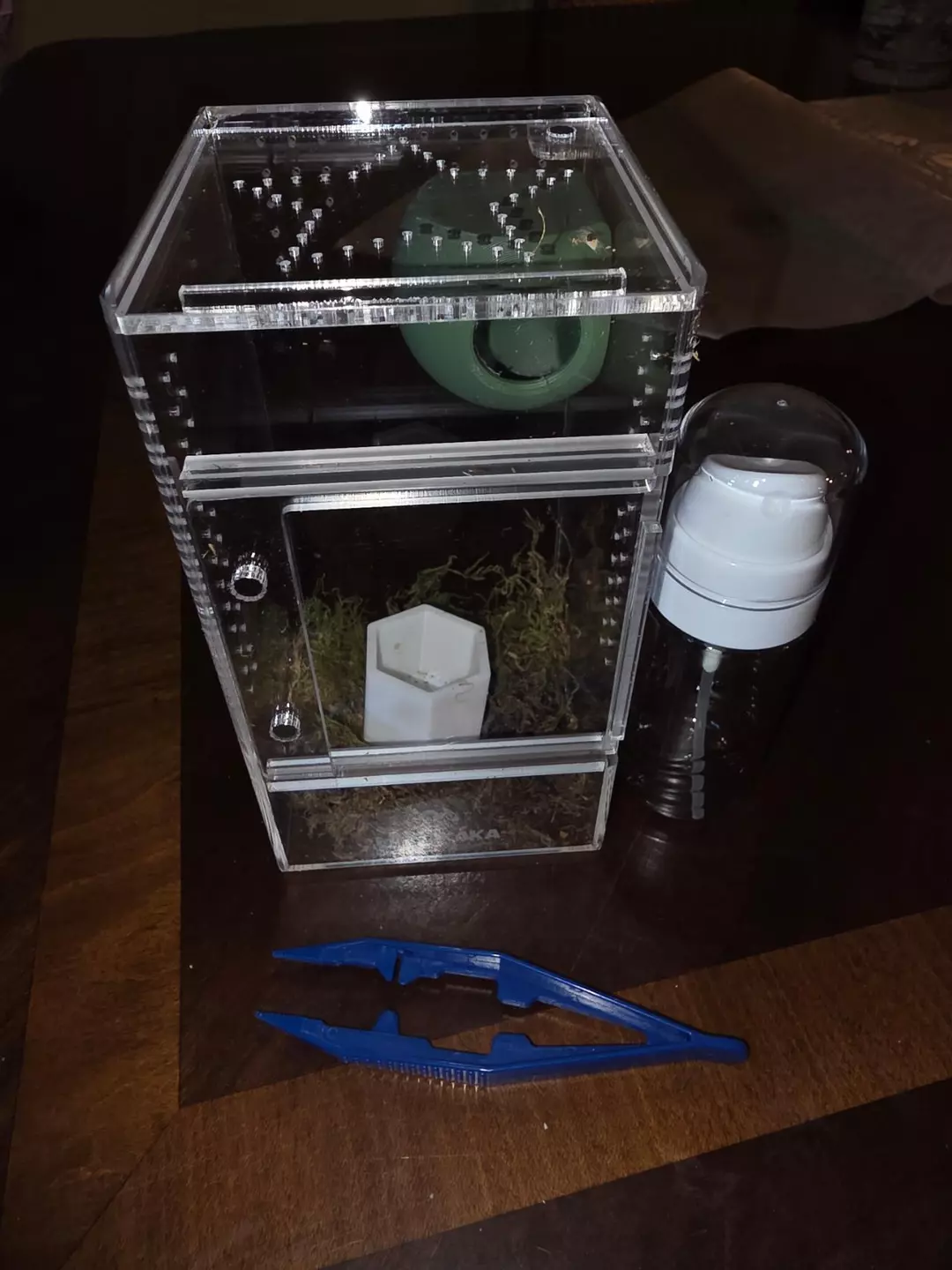 Full starter setup! thumbnail