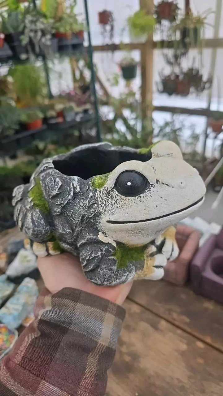 Cement Frog Planter thumbnail