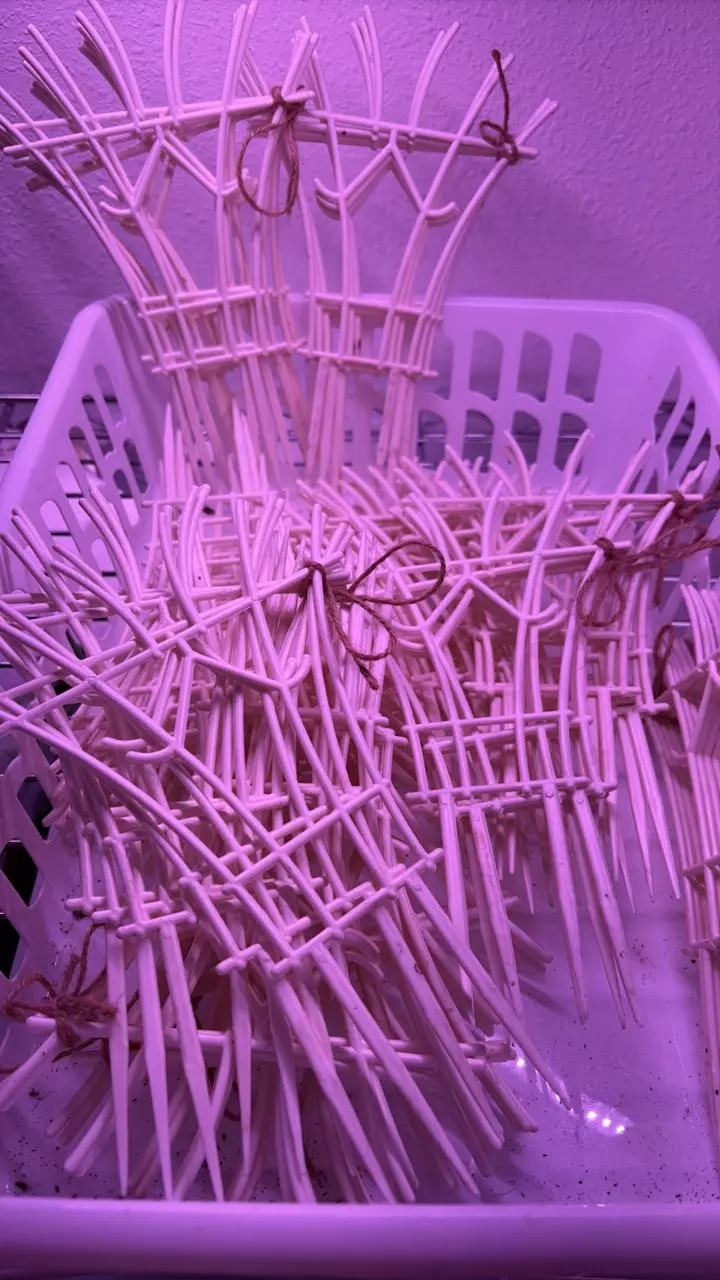 5 pack Plastic trellis - free ship add on only*** thumbnail