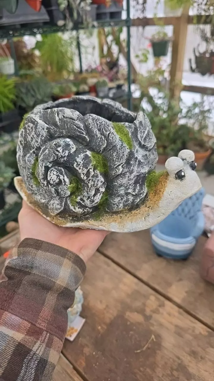Cement Snail Planter thumbnail