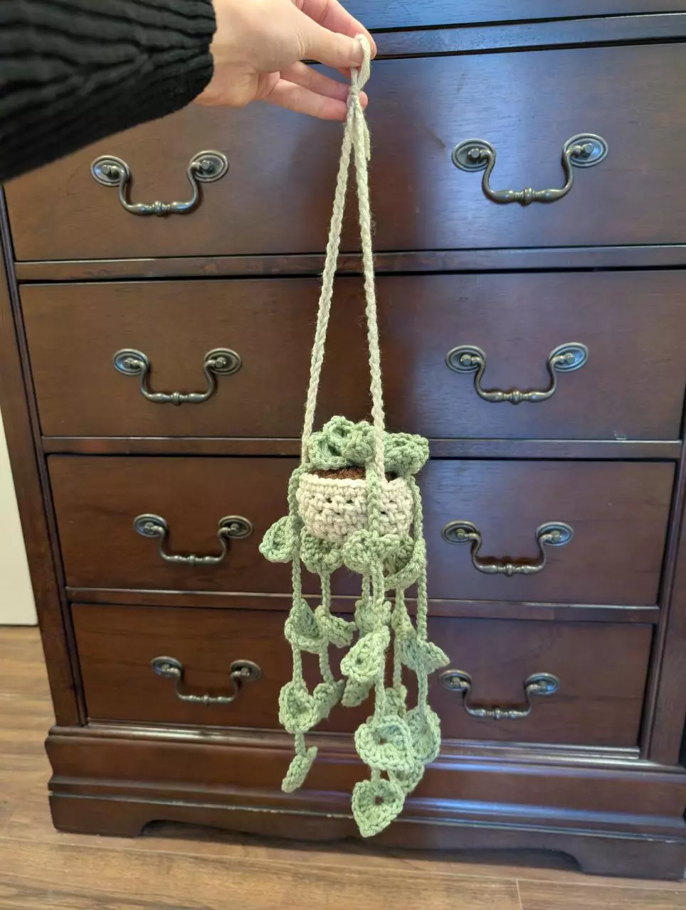 🌱🤎 Handmade Crochet Hanging Pothos Plant thumbnail